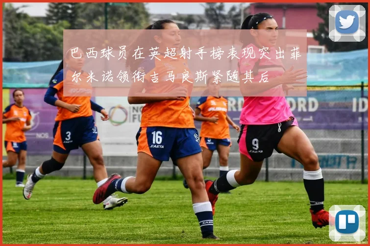 巴西球员在英超射手榜表现突出菲尔米诺领衔吉马良斯紧随其后