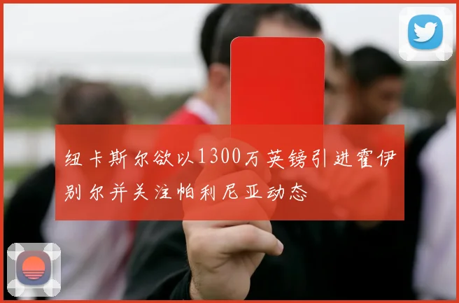 纽卡斯尔欲以1300万英镑引进霍伊别尔并关注帕利尼亚动态